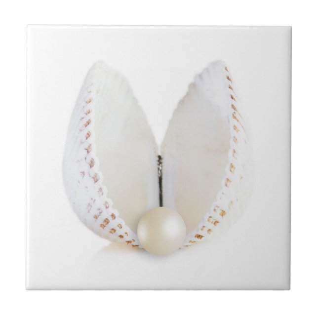 Carreau Perle et coquillage (Devant)