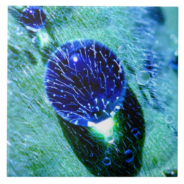 Carreau Perles bleues de l'eau de gouttes de pluie, (Devant)