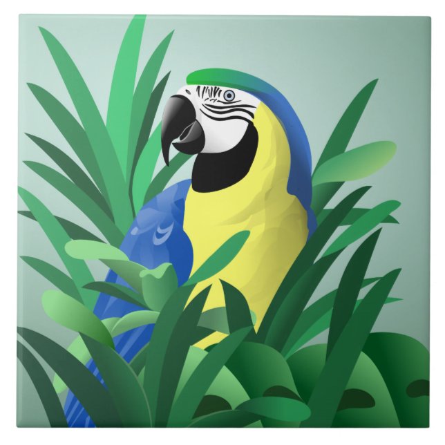 Carreau Perroquet (Devant)