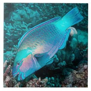 Carreau Perroquet Coloré Récif Corail Océan Poisson