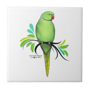 Carreau Perroquet indien vert