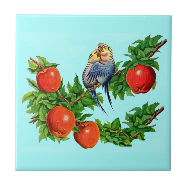 Carreau perroquets amoureux (Devant)