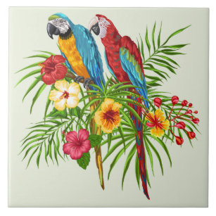 Carreau Perroquets Macaw colorés et fleurs d'Hibiscus