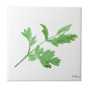 Carreau Persil aquarelle herbes vert botanique plantes