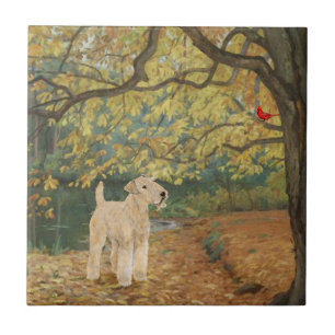 Carreau Personnaliser