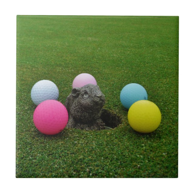 Carreau Personnaliser (Devant)