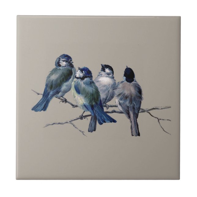 Carreau Personnaliser belle art vintage oiseaux bleus sur  (Devant)