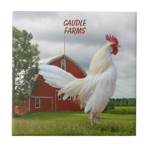 CARREAU PERSONNALISER ROCHER BLANC ROOSTER TILE CÉRAMIQUE