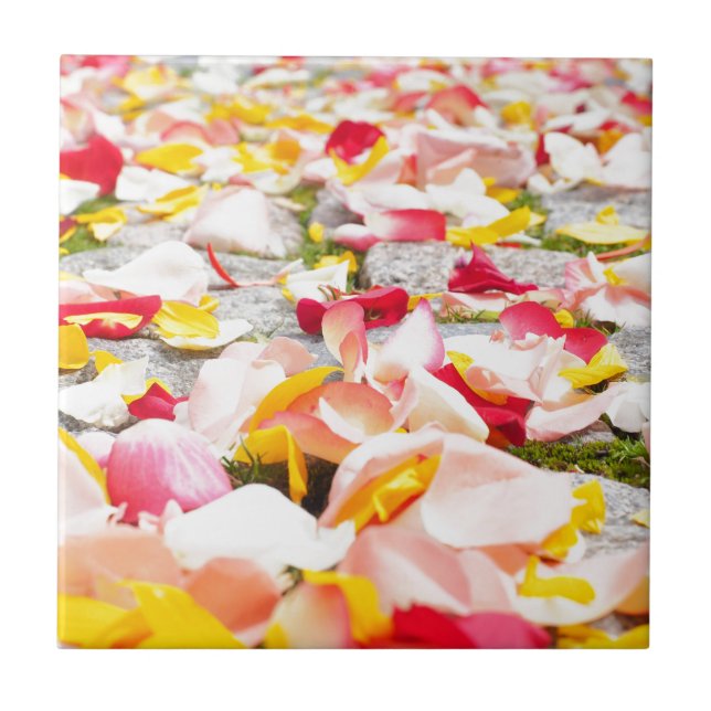 Carreau Pétales de rose sur le sol design (Devant)