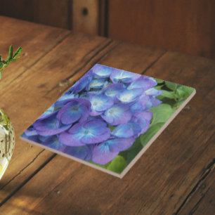 Carreau Pétales d'Hortensia Bleu Floral