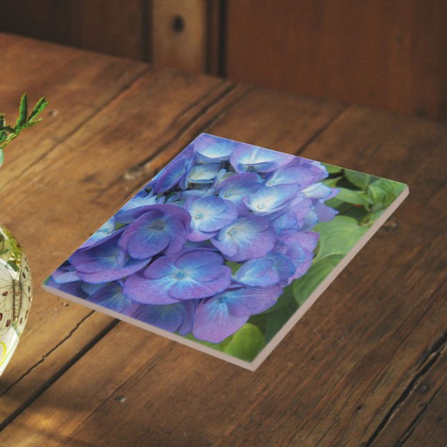 Carreau Pétales d'Hortensia Bleu Floral (In Situ)