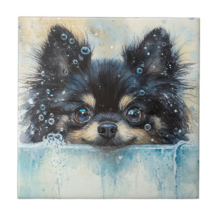 Carreau Petit Chien de Poméranie dans la baignoire