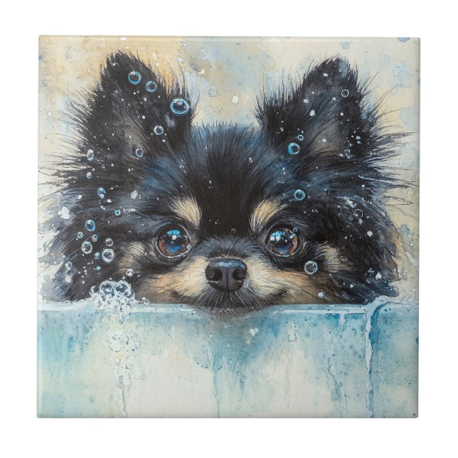 Carreau Petit Chien de Poméranie dans la baignoire (Devant)