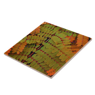 Carreau Petit Motif Feuille