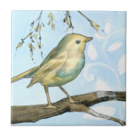 Petit oiseau jaune perché sur une branche Recherch