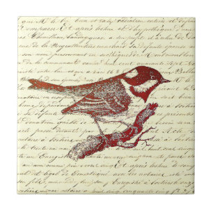 Carreau Petit Oiseau Vintage Script français
