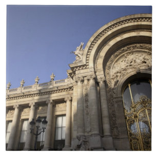 Carreau Petit Palais. Paris. France