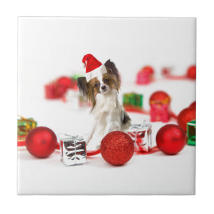 Carreau Petit Papillon Chien Noël Santa Hat