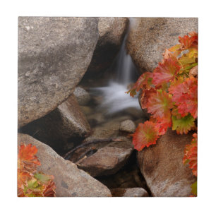 Carreau Petit ruisseau en automne, Californie