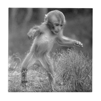 Carreau Petit singe génial