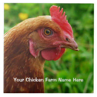 Carreau Petite pondeuse rouge - poulet Brown de RIR ou