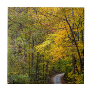 Carreau Petite route de gravier bordée de couleurs d'autom
