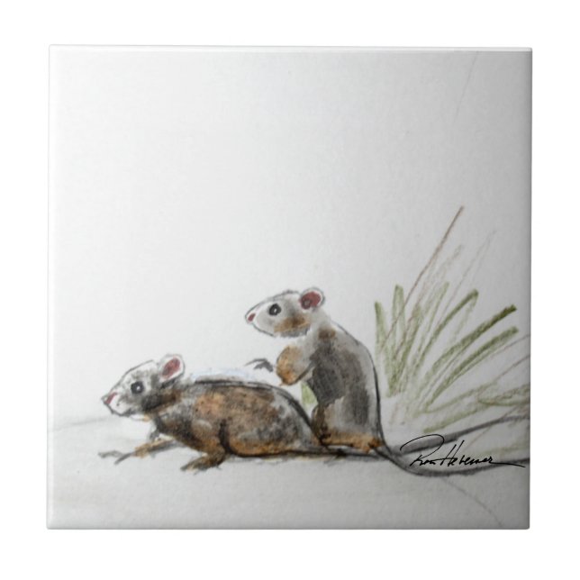 Carreau Petites choses (Devant)