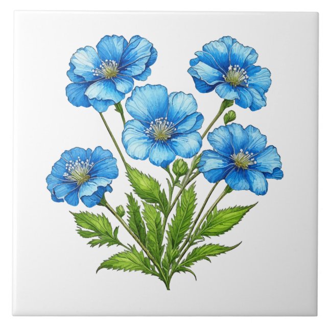 Carreau Petites Fleurs Bleues (Devant)