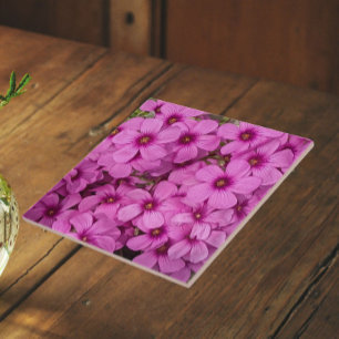 Carreau Petites fleurs d'Oxalis rose Floral