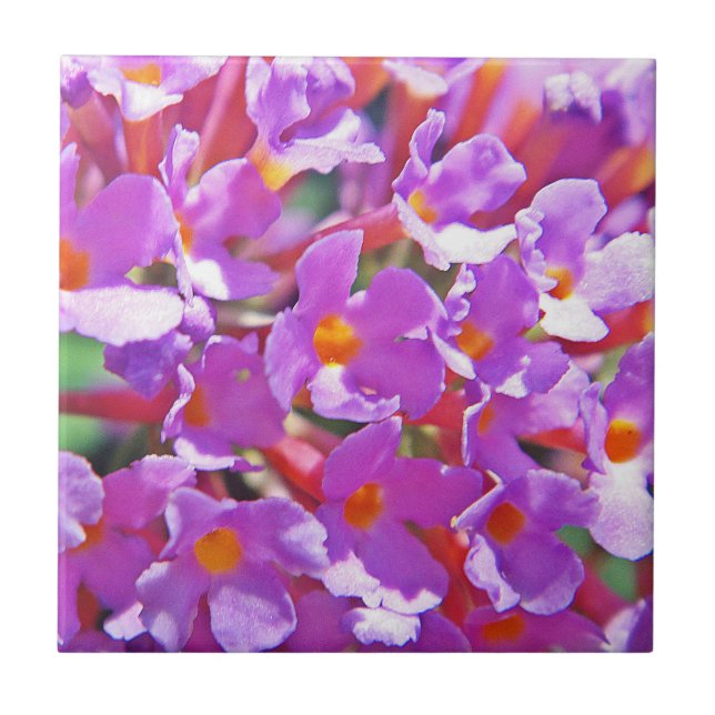 Carreau Petites fleurs mignonnes violettes (Devant)