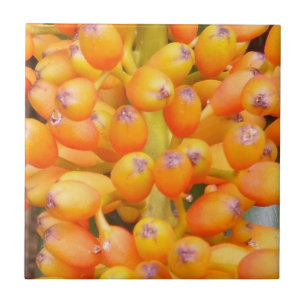 Carreau Petites graines (4,25 po x 4,25 po) Carrelage phot