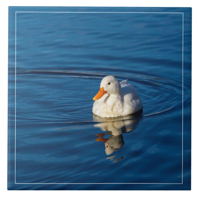 Carreau Petites réflexions de canard blanc (Devant)