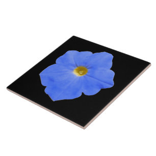 Carreau Pétunia Carrelage bleu et jaune