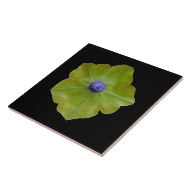 Carreau Pétunia Carrelage vert et bleu (Côté)