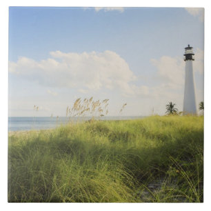 Carreau Phare de Bill Baggs Cape Florida, Bill Baggs