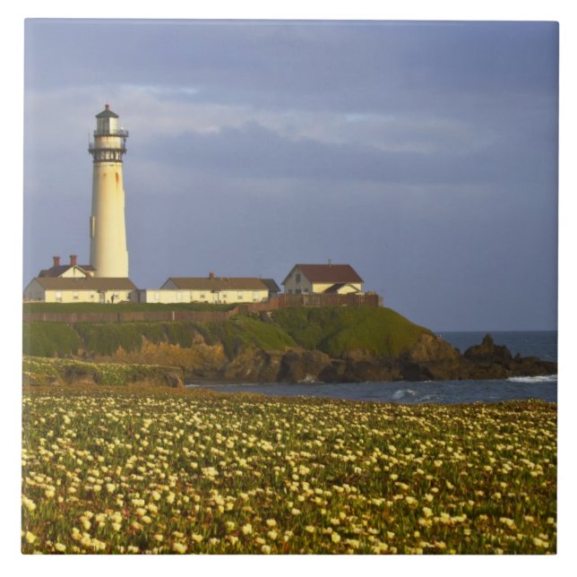 Carreau Phare de Pigeon Point State Beach à San (Devant)