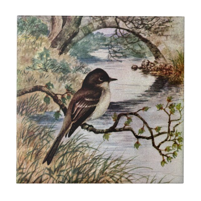 Carreau Phoebe et pont en pierre au-dessus de crique (Devant)