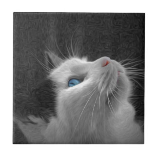 Carreau Photo de chat observée par bleu