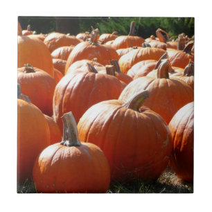 Carreau Photo de citrouilles pour l'automne, Halloween ou 