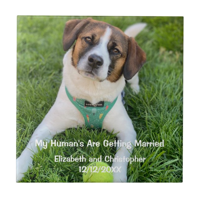 Carreau Photo de fiançailles "Mes Humains se marient"  (Devant)