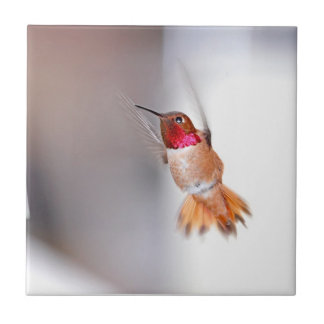 Carreau Photo de vol de colibri