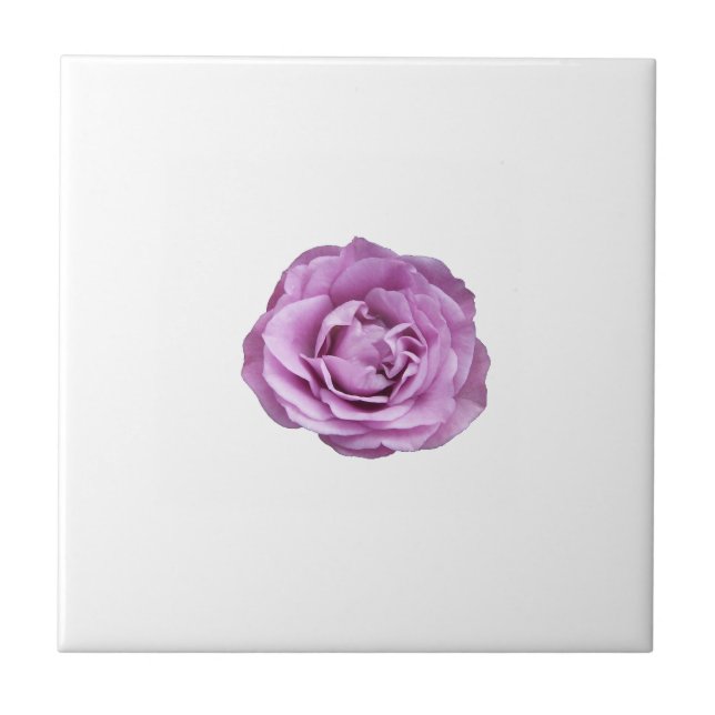 Carreau Photo d'un rose de couleur lavande sur une (Devant)