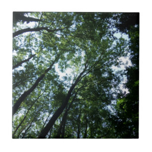 Carreau photo en céramique Jungle Small (10,8 cm x