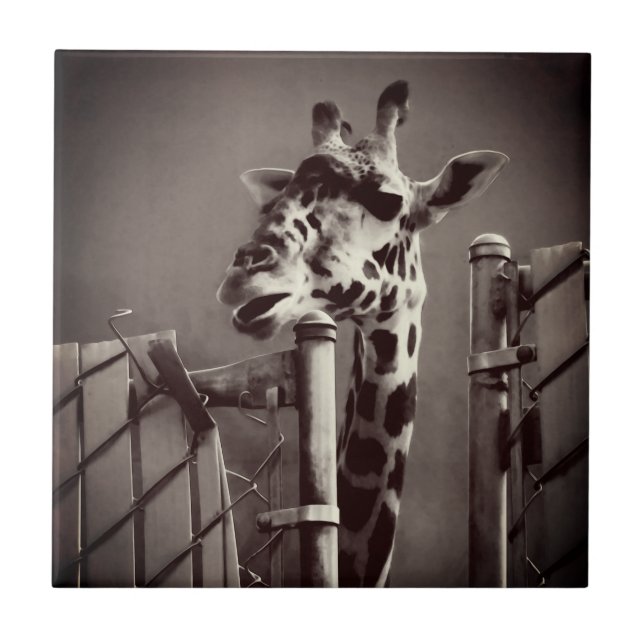 Carreau Photo Giraffe - Style Vintage (Devant)