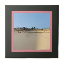 Photo Moment de calme