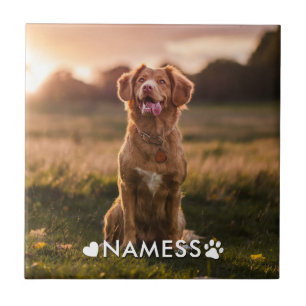 Carreau Photo personnalisée avec le nom de votre chien