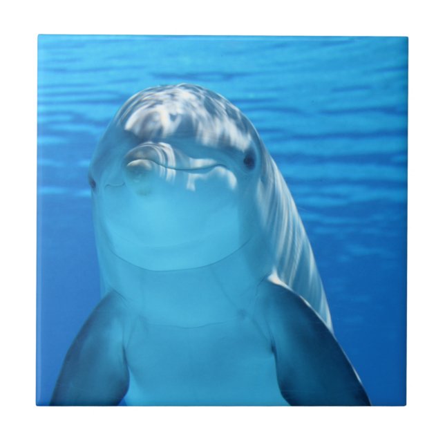 Carreau Photo personnalisée simple (Devant)