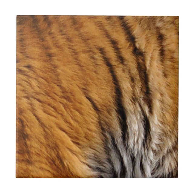 Carreau Photo Tiger Stripes Big Cat Wildlife (Devant)