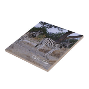 Carreau Photo Zebra Double Take