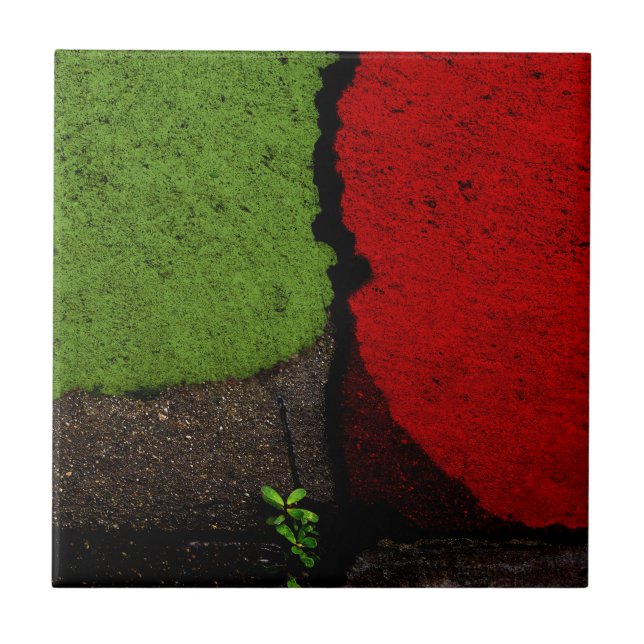 Carreau Photographie d'art rouge et vert (Devant)